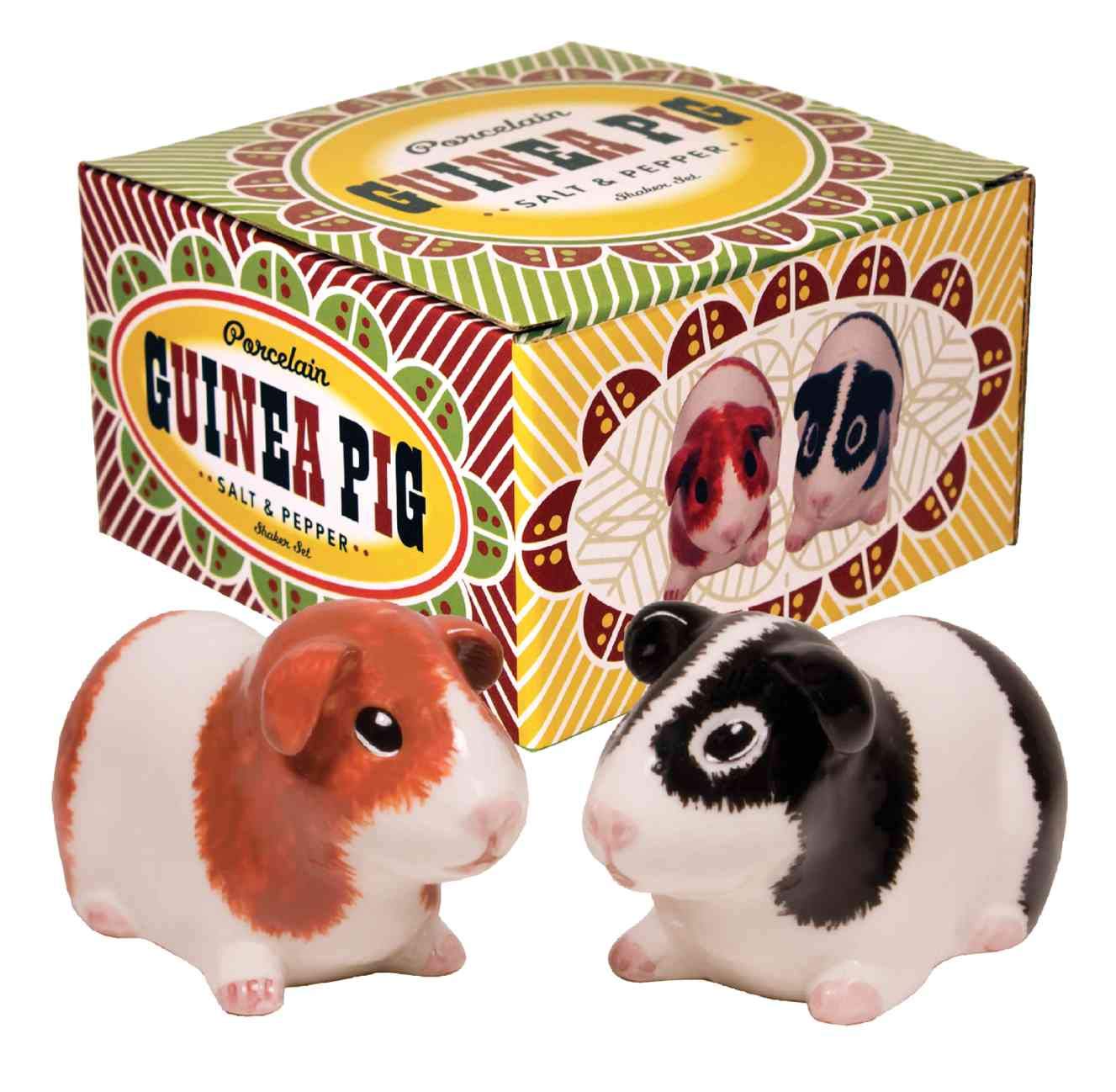 Amazon.com: Streamline Imagined Guinea Pig Salt and Pepper Shaker